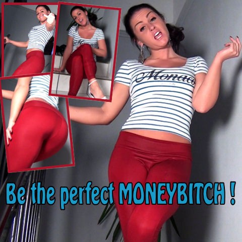 Be the perfect Moneybitch