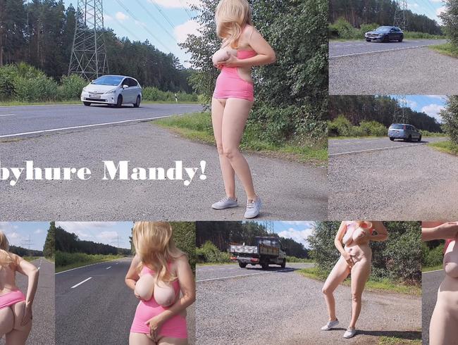 Hobbyhure Mandy! Zuchtstute zum Schwängern!